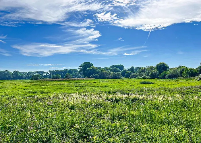 Haffblick 20 בולטנהאגן
